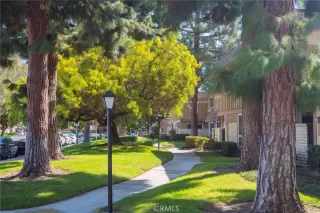 Photo #5: OC24187789 Listing 