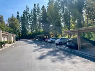 Photo #4: OC24190521 Listing 