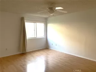 Photo #1: OC24191156 Listing