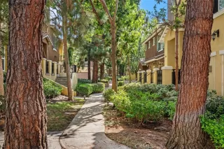 Photo #2: OC24196886 Listing 