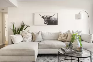 Photo #1: OC24200429 Listing 