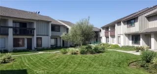 Photo #1: OC24201830 Listing 