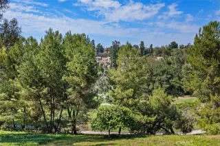 Photo #1: OC24205227 Listing