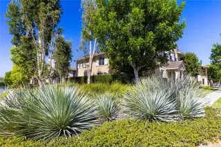 Photo #2: OC24209749 Listing 