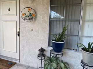 Photo #1: OC24214163 Listing