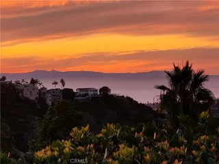 Photo #4: OC24218384 Listing 