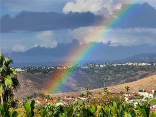 Photo #6: OC24218384 Listing 