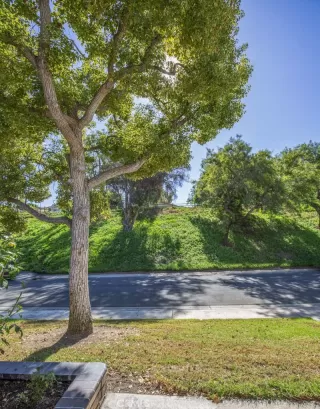 Photo #6: OC24219088 Listing