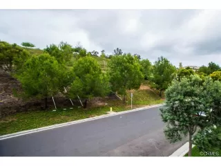 Photo #1: OC24223105 Listing