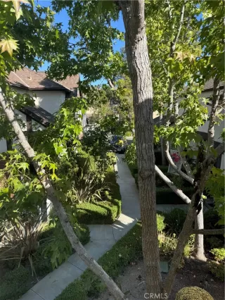 Photo #4: OC24225307 Listing 