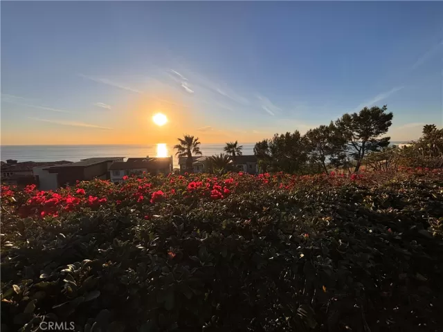 MLS: OC24248601 Condo For Sale