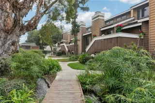 Photo #1: OC24253765 Listing 