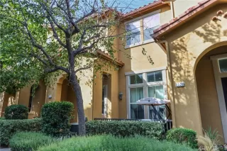 Photo #1: OC24255328 Listing 