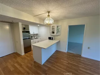 Photo #1: OC25005698 Listing