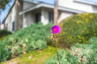 Photo #2: OC25013225 Listing