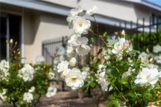 Photo #3: OC25013225 Listing