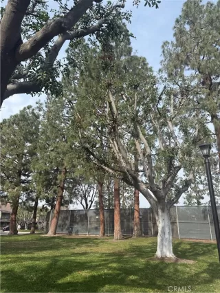 Photo #2: OC25021640 Listing 