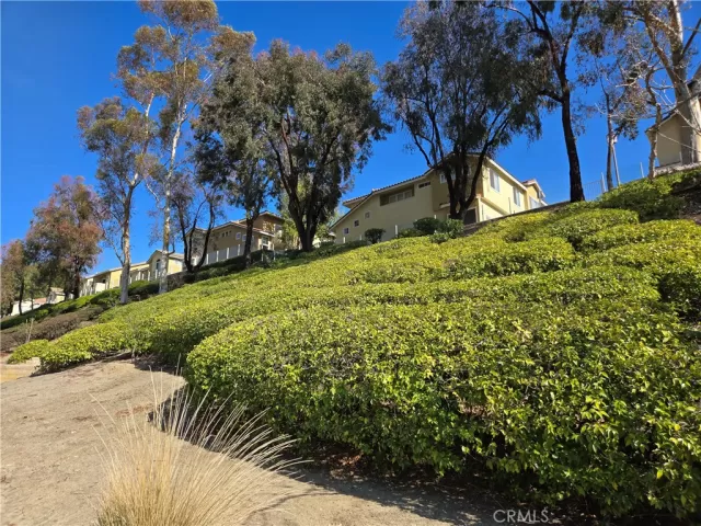 MLS: OC25024764 Condo For Sale