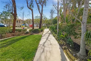 Photo #2: OC25036157 Listing 