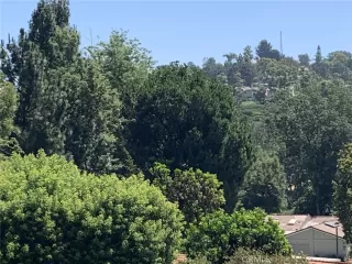 Photo #3: OC25037700 Listing 