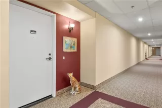 Photo #6: OC25045099 Listing