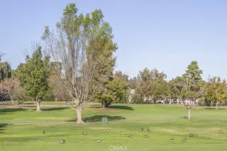 Photo #2: OC25054082 Listing 