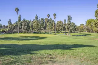 Photo #5: OC25054082 Listing 