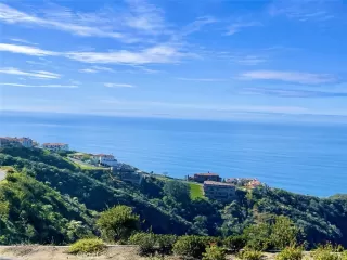 Photo #3: OC25061165 Listing 