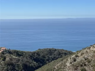 Photo #3: OC25062528 Listing 