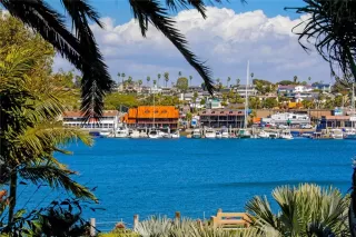 Photo #2: OC25063480 Listing