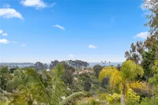 More Details about MLS # OC25086692 : 33046 OCEAN RIDGE