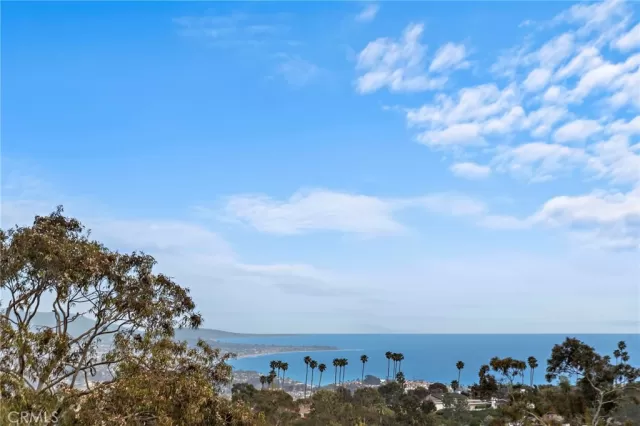 MLS: OC25087631 Condo For Sale