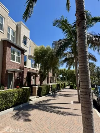 Photo #1: OC25088182 Listing 