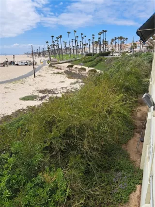 Photo #2: OC25091839 Listing