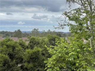 Photo #3: OC25092062 Listing 