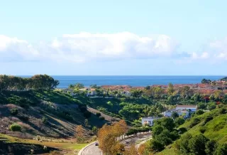 More Details about MLS # OC25099068 : 5 TAWNY