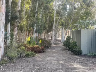 Photo #5: OC25110270 Listing 