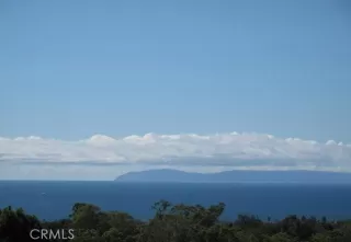 Photo #4: OC25117170 Listing 