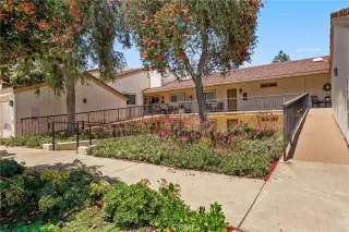 Photo #1: OC25117353 Listing 