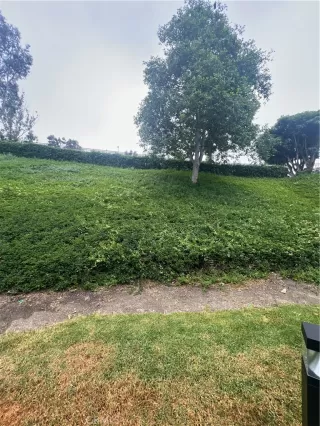 Photo #6: OC25121523 Listing 