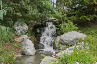 Photo #4: OC25124734 Listing 