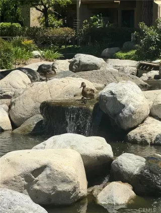 Photo #2: OC25151224 Listing 