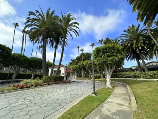 Photo #1: OC25155772 Listing