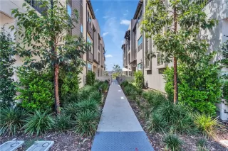 Photo #1: OC25158380 Listing 