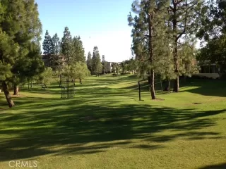 Photo #5: OC25159939 Listing 