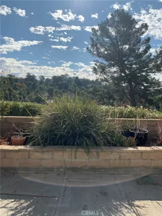 Photo #4: OC25163209 Listing