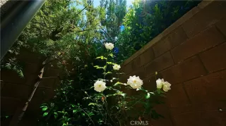 Photo #5: OC25163319 Listing 