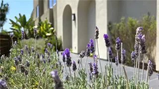 Photo #3: OC25166704 Listing 