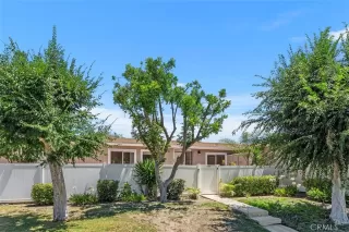 Photo #1: OC25168477 Listing