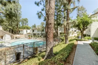 Photo #4: OC25168639 Listing 